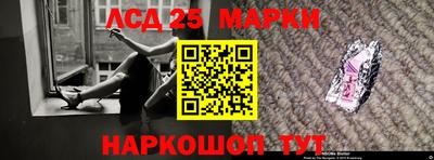 амф Владимир
