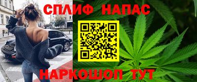 амф Владимир