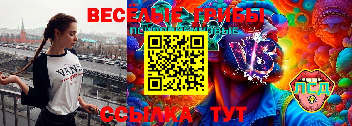 Галлюциногенные грибы ЛСД  Вход с VPN  Сыктывкар  Галлюциногенные грибы мицелий 